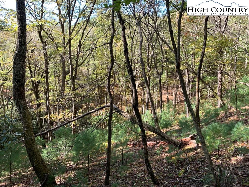 Image number 15 for the current listing
