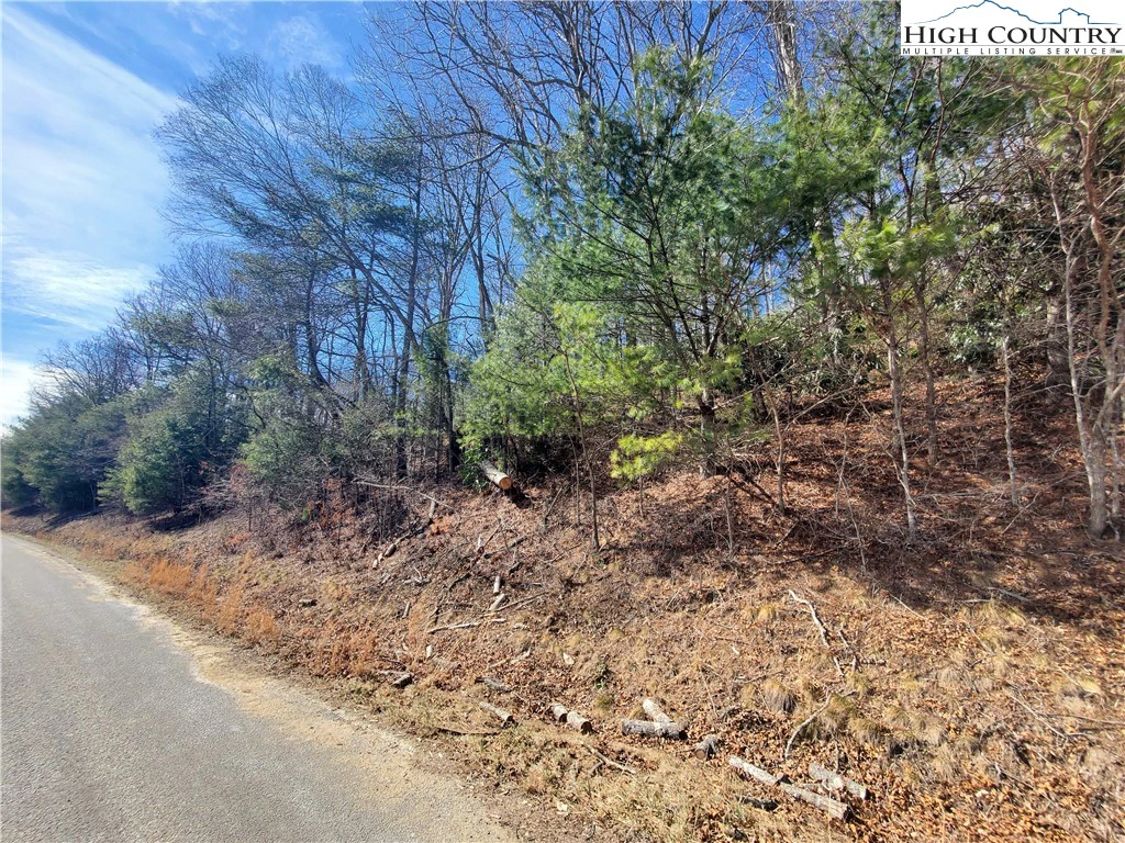 Image number 1 for the current listing