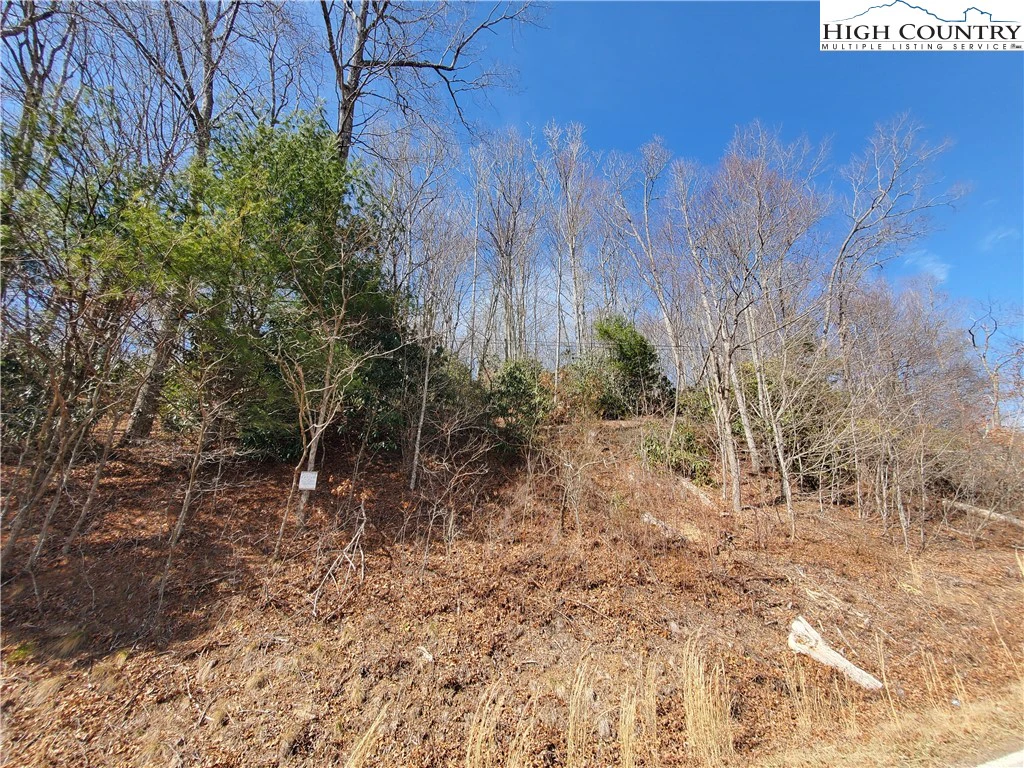 Image number 4 for the current listing