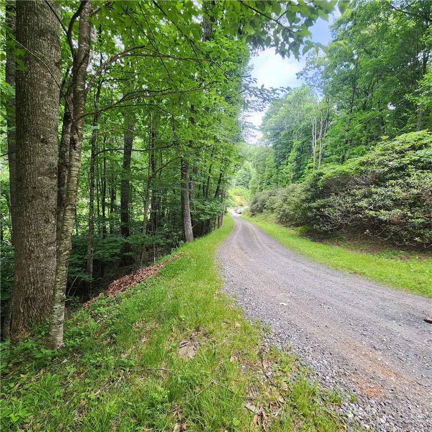 Image number 2 for the current listing