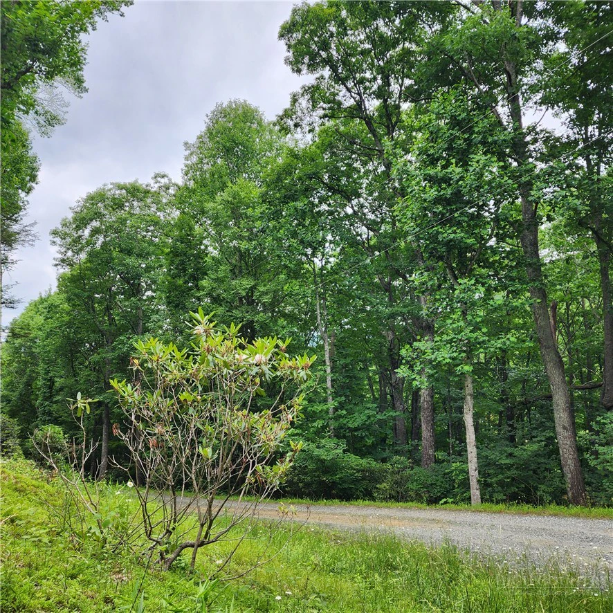 Image number 3 for the current listing