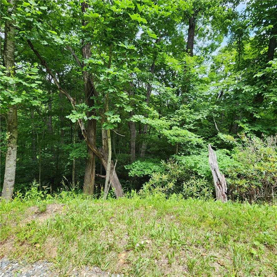 Image number 5 for the current listing
