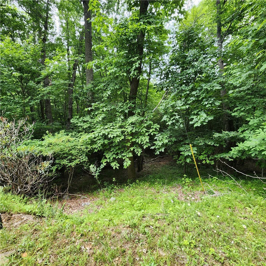 Image number 6 for the current listing