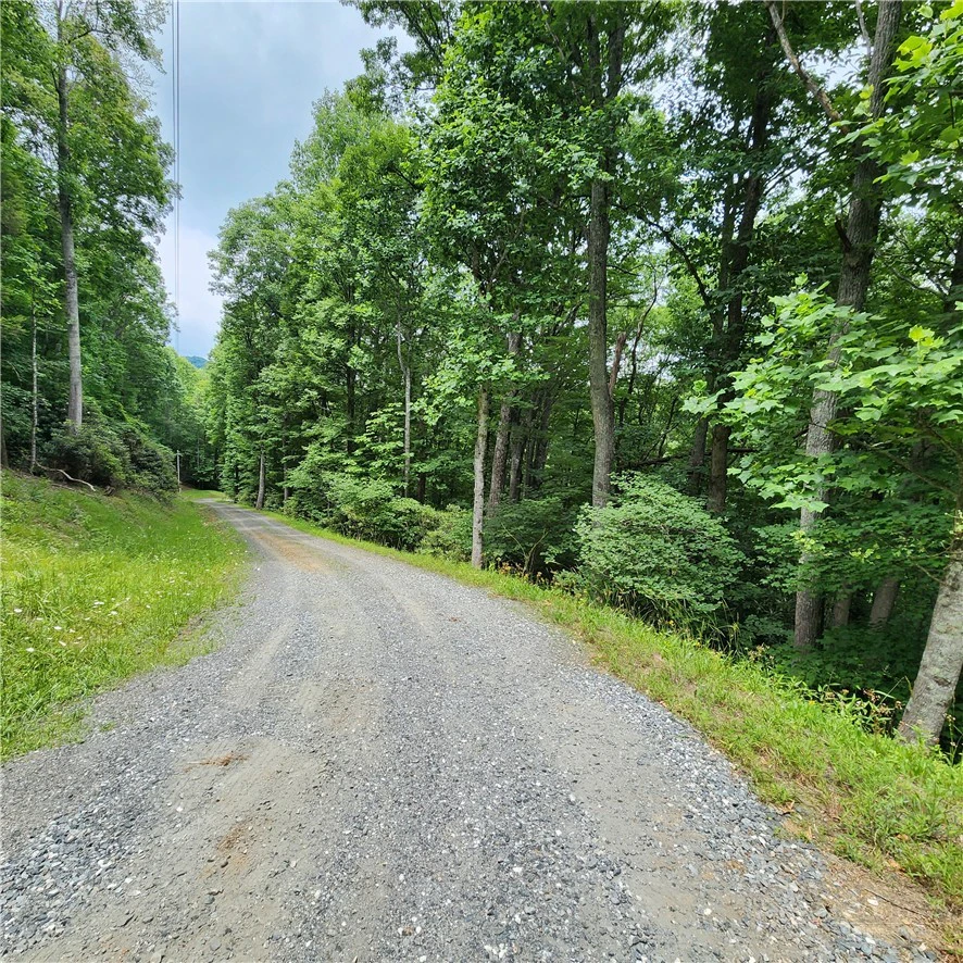 Image number 7 for the current listing