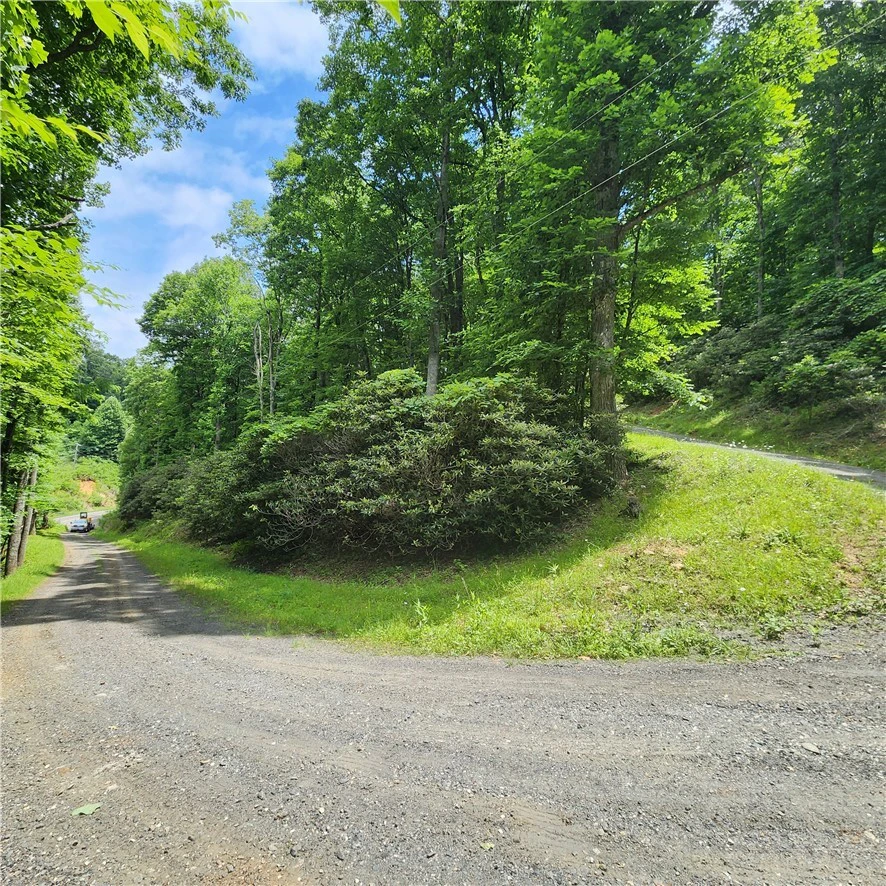 Image number 8 for the current listing