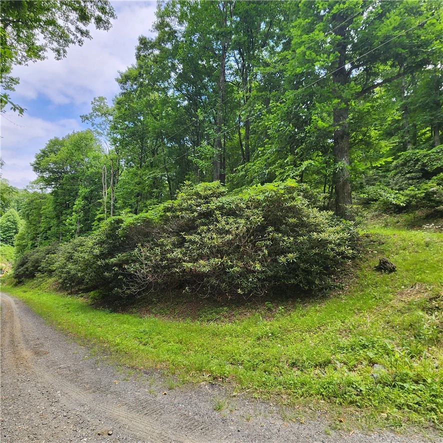 Image number 9 for the current listing