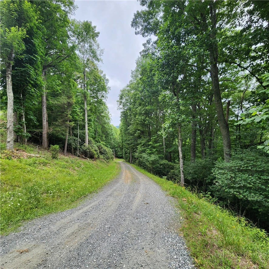 Image number 10 for the current listing