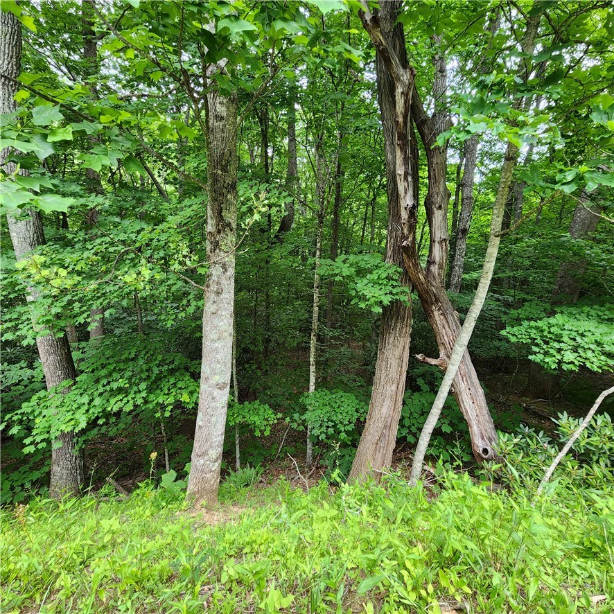 Image number 11 for the current listing