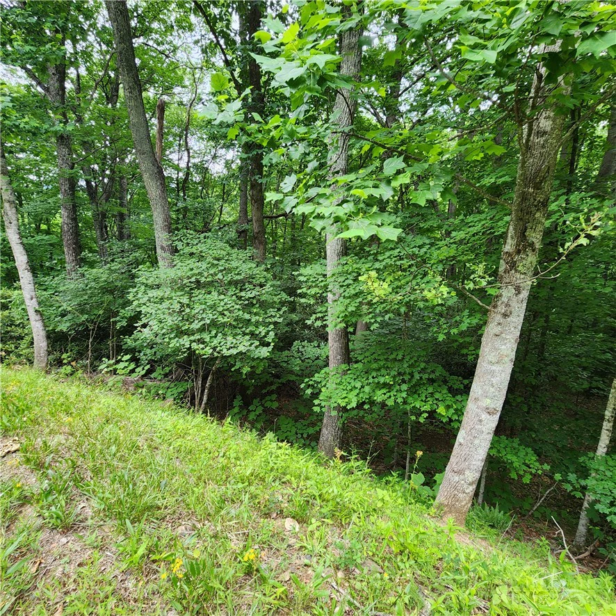 Image number 12 for the current listing