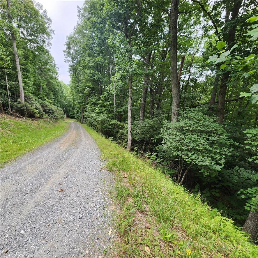 Image number 13 for the current listing