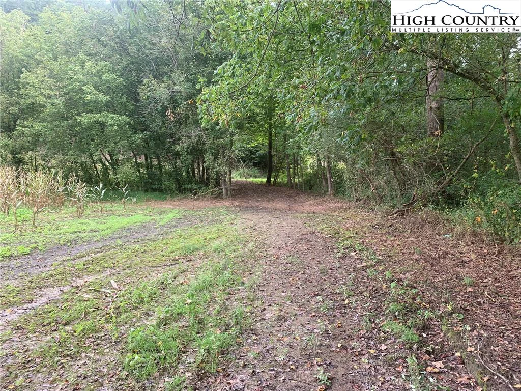 Image number 2 for the current listing