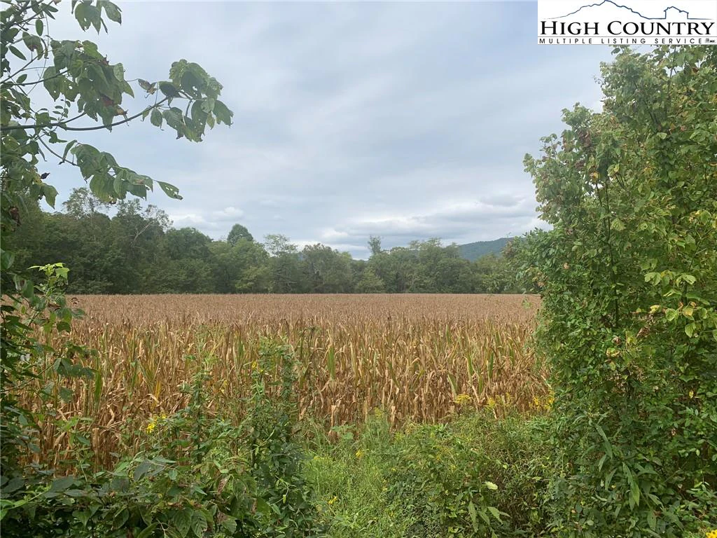 Image number 11 for the current listing