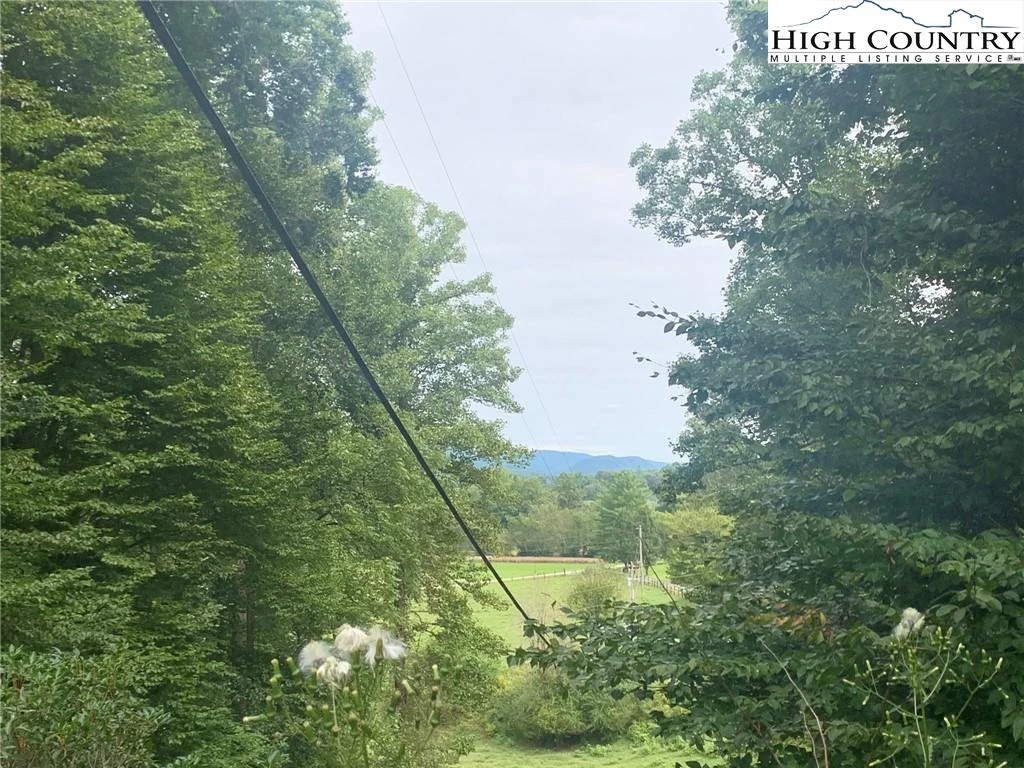 Image number 7 for the current listing
