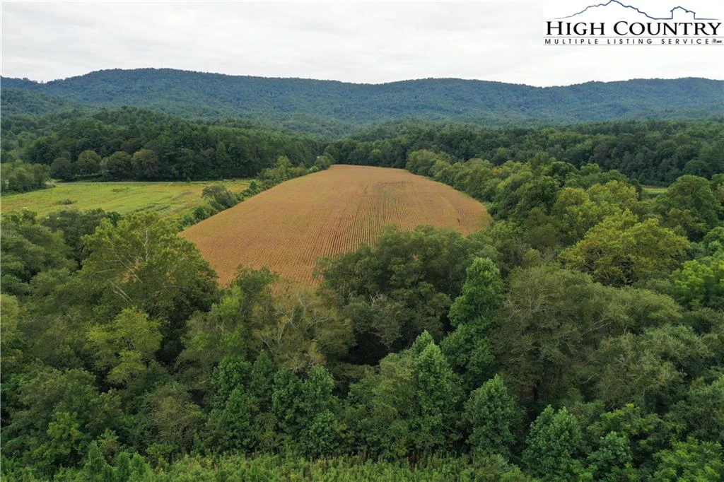 Image number 19 for the current listing