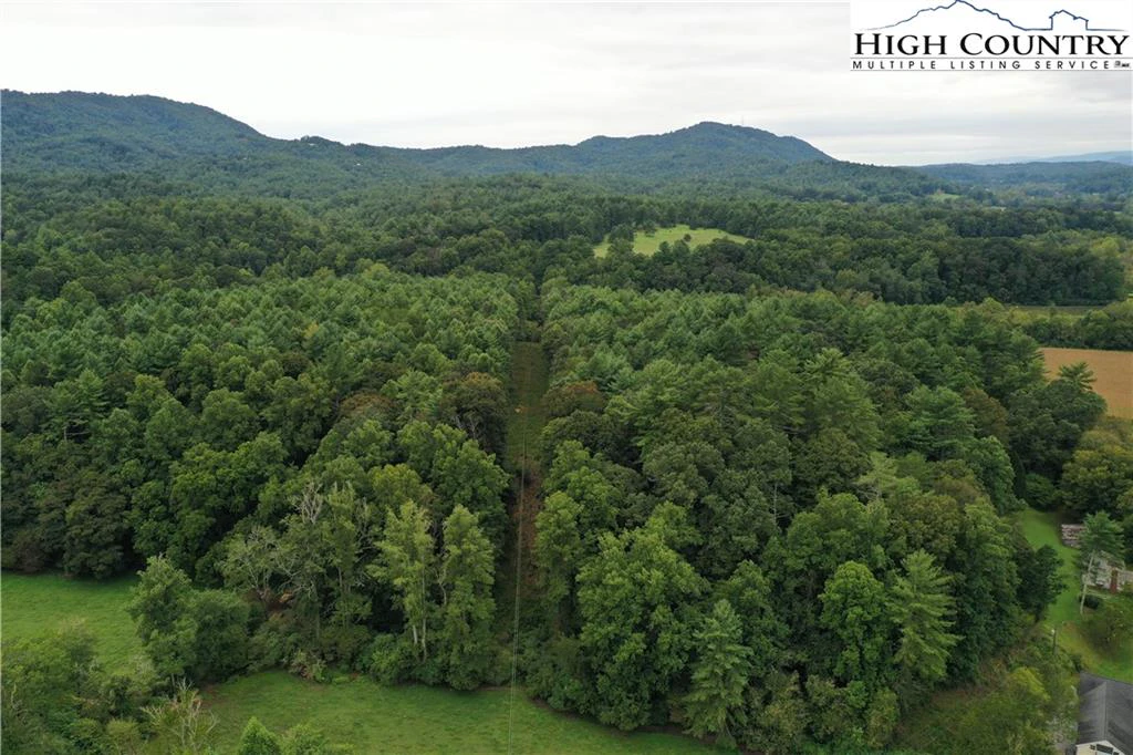 Image number 14 for the current listing
