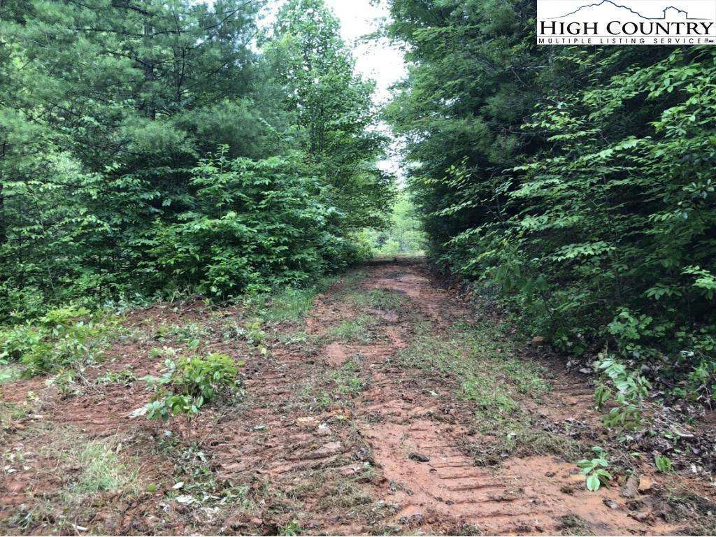 Image number 1 for the current listing