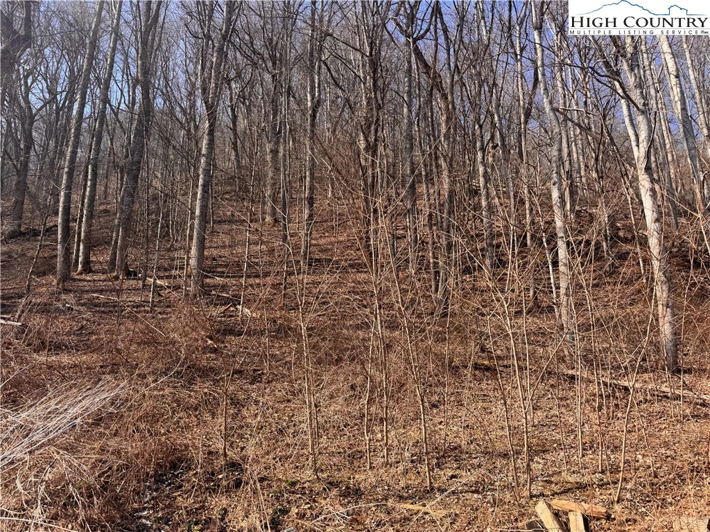 Image number 15 for the current listing