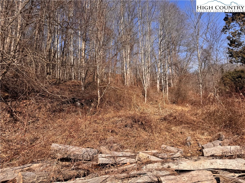 Image number 14 for the current listing