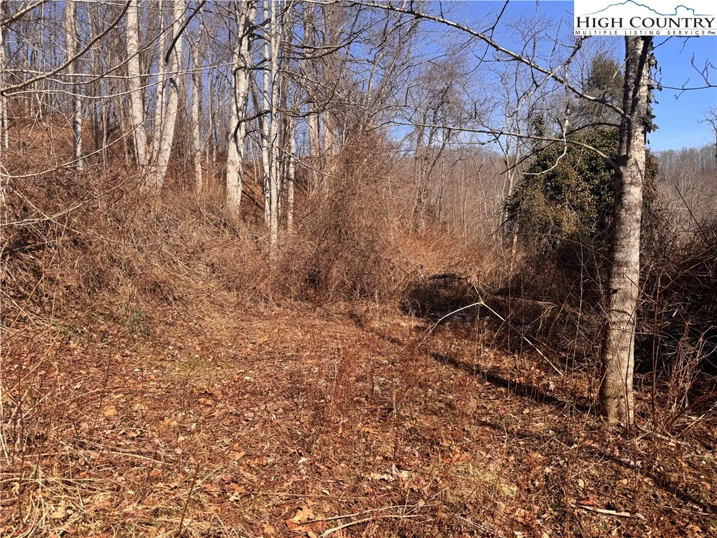 Image number 13 for the current listing