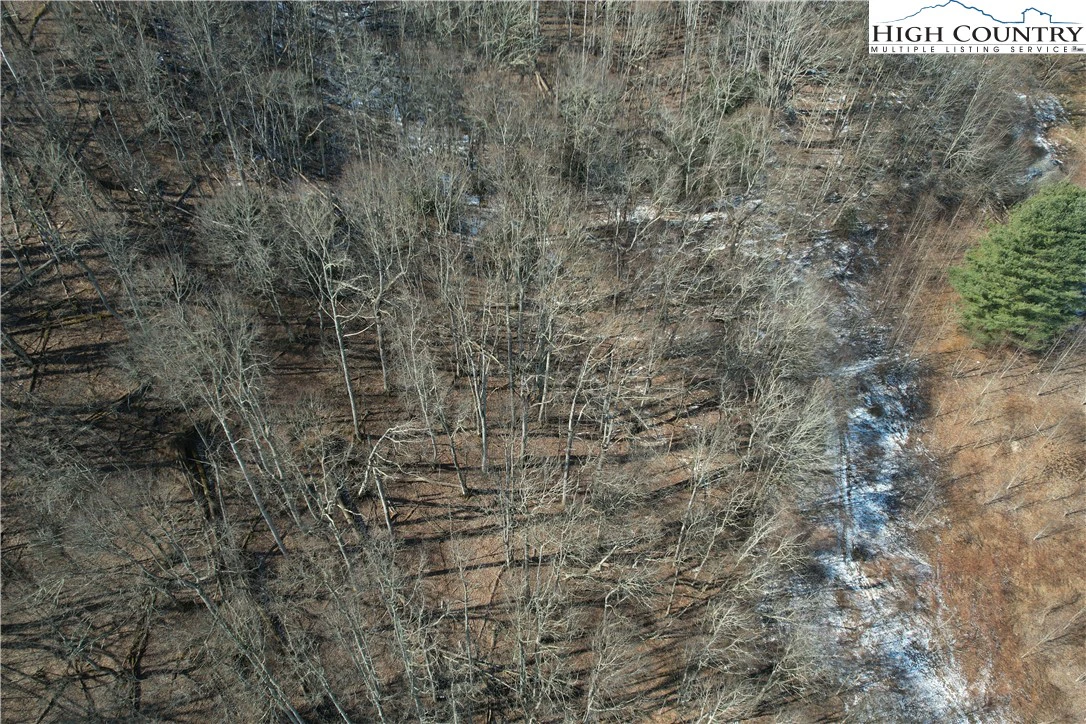 Image number 3 for the current listing