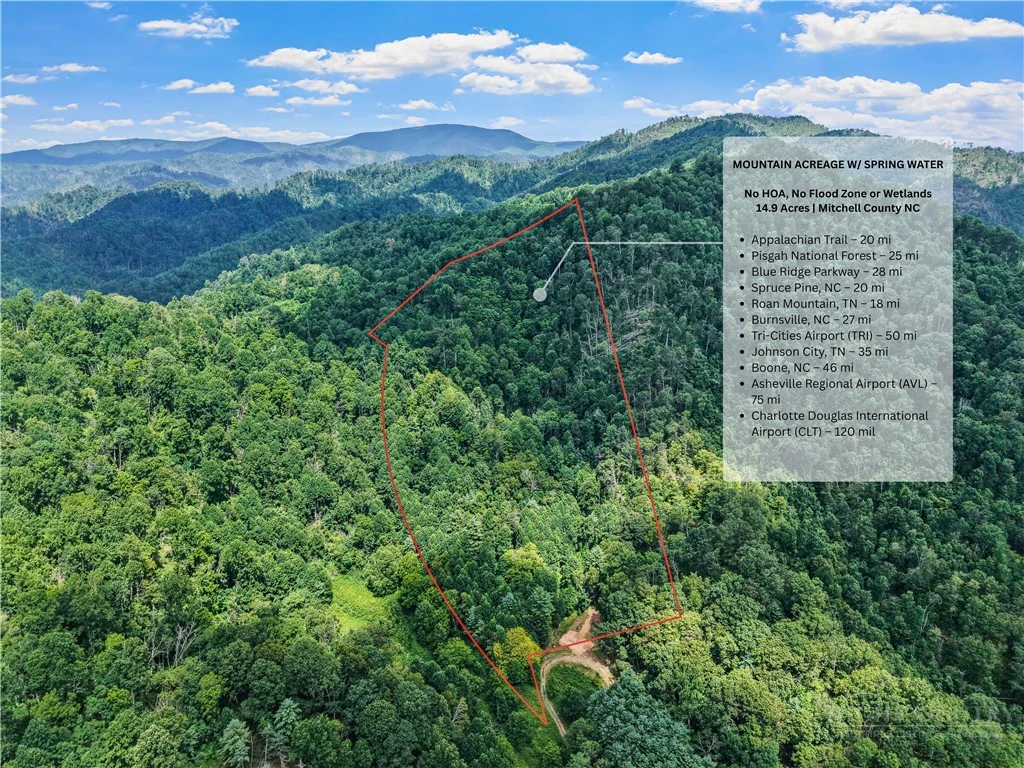Image number 1 for the current listing