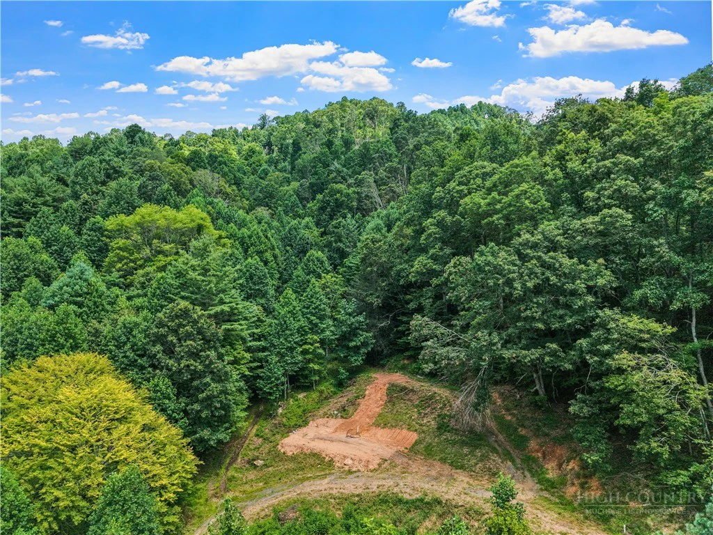Image number 3 for the current listing