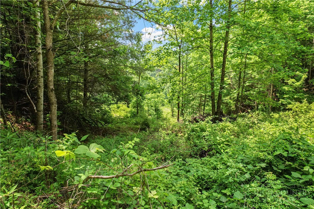 Image number 9 for the current listing