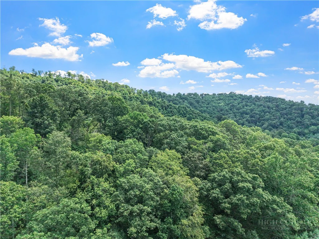 Image number 11 for the current listing