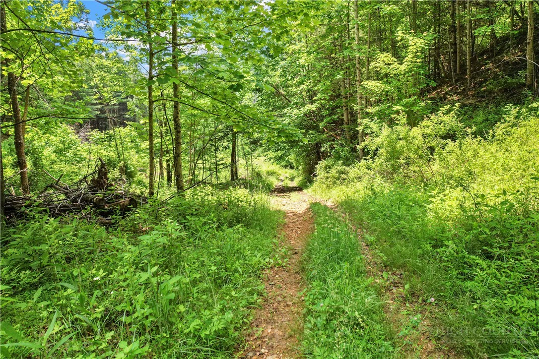 Image number 12 for the current listing