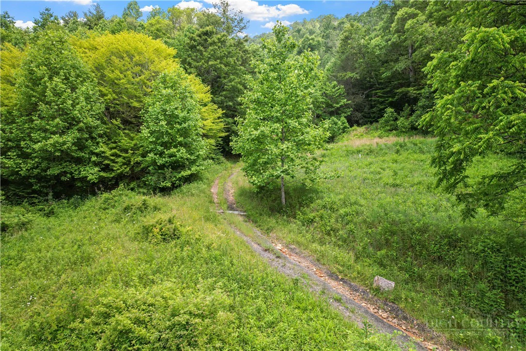 Image number 13 for the current listing