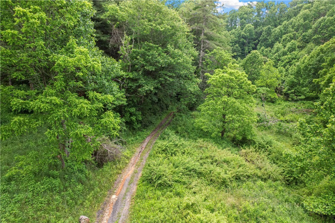 Image number 14 for the current listing