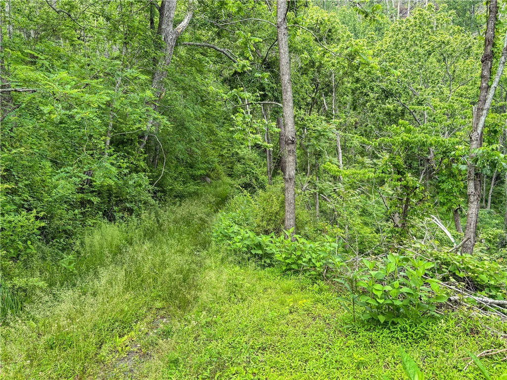 Image number 18 for the current listing