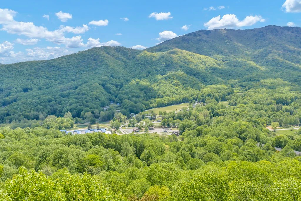 Image number 7 for the current listing
