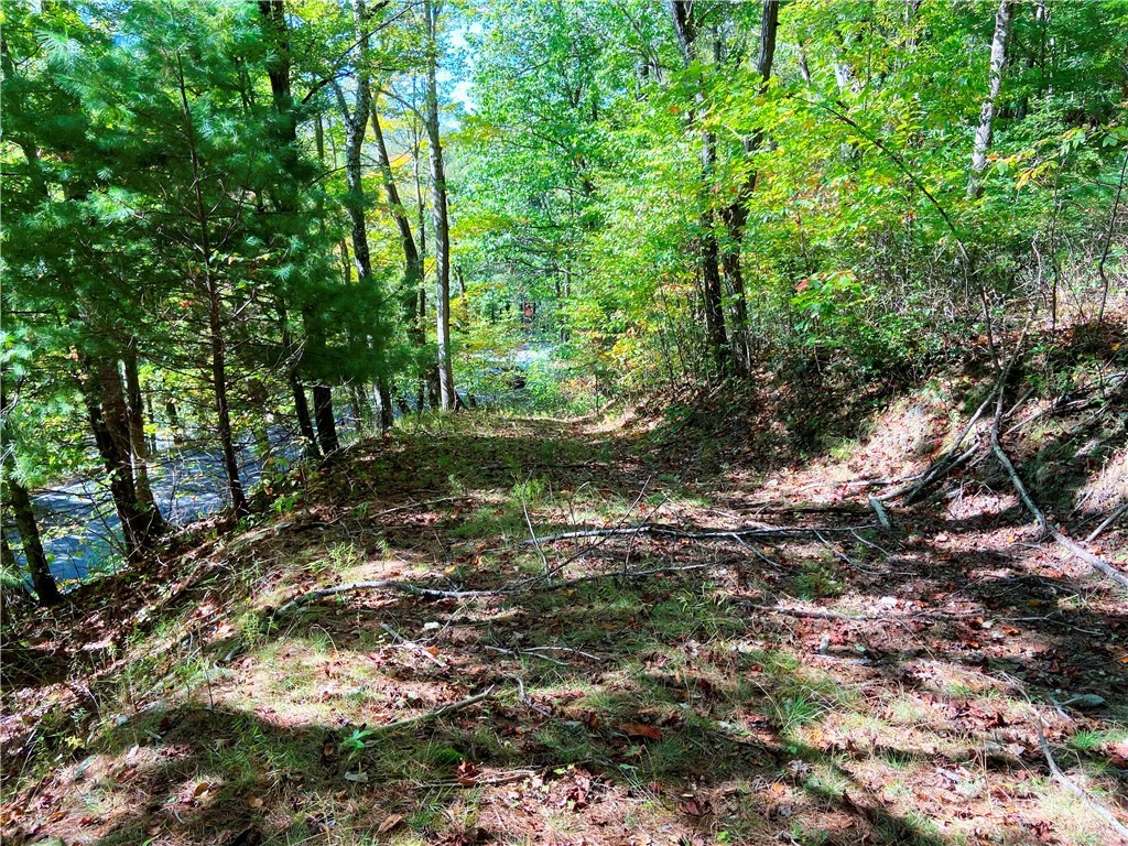 Image number 16 for the current listing