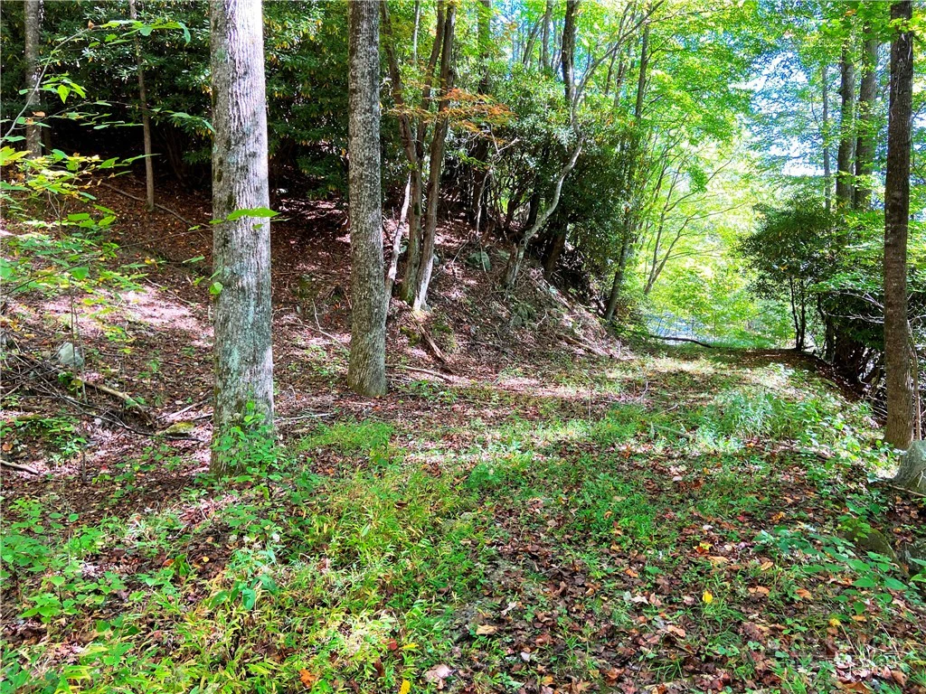 Image number 17 for the current listing