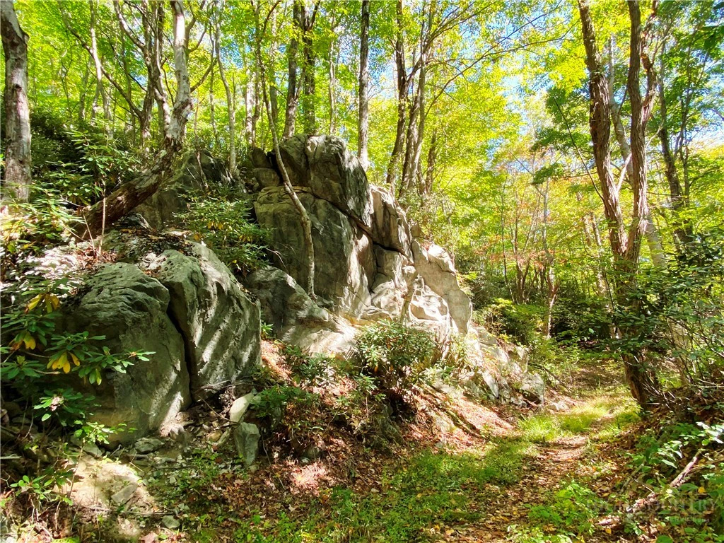 Image number 18 for the current listing