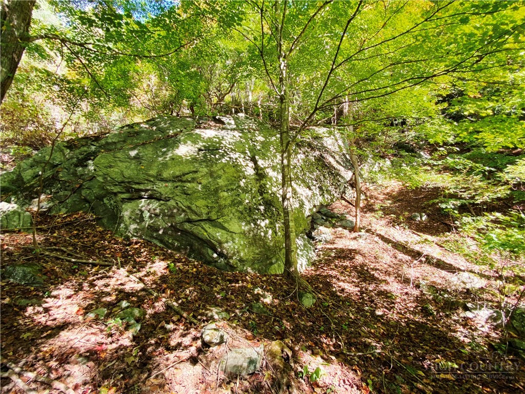 Image number 19 for the current listing