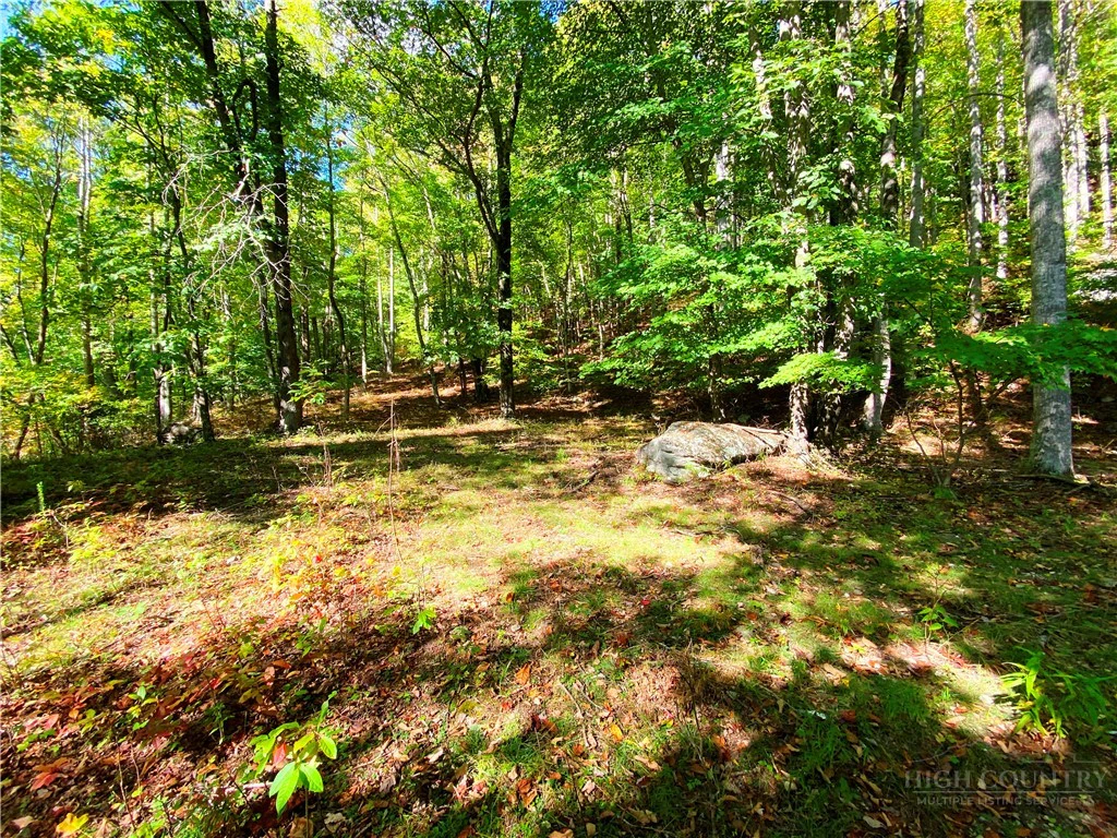 Image number 20 for the current listing
