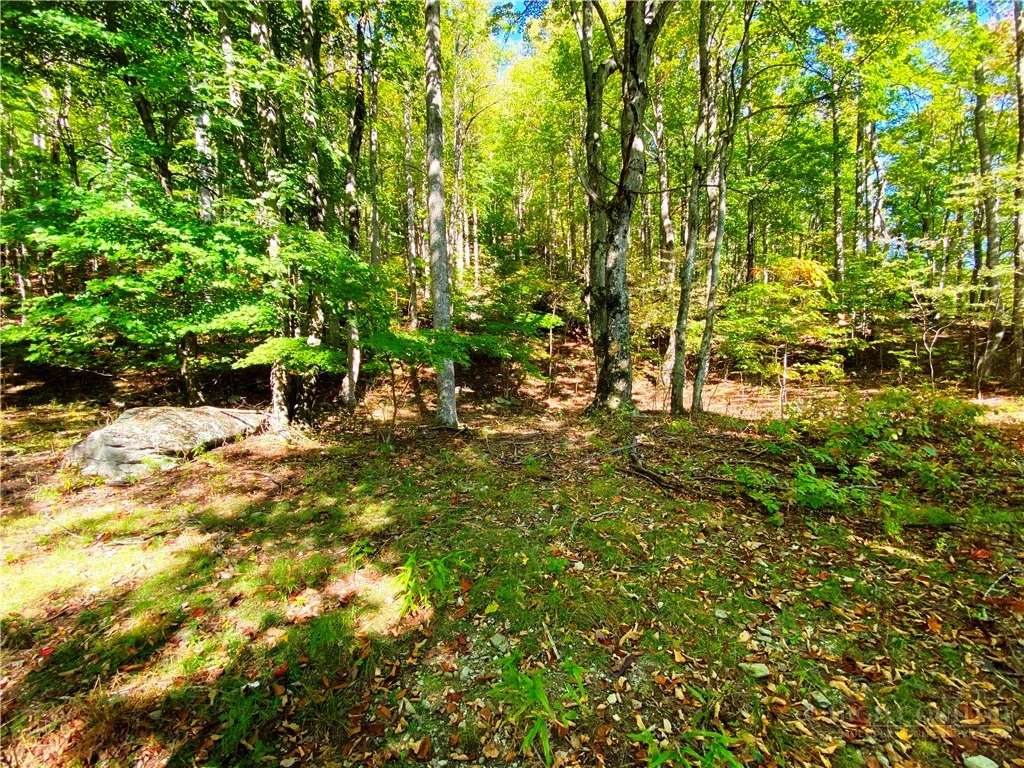 Image number 21 for the current listing