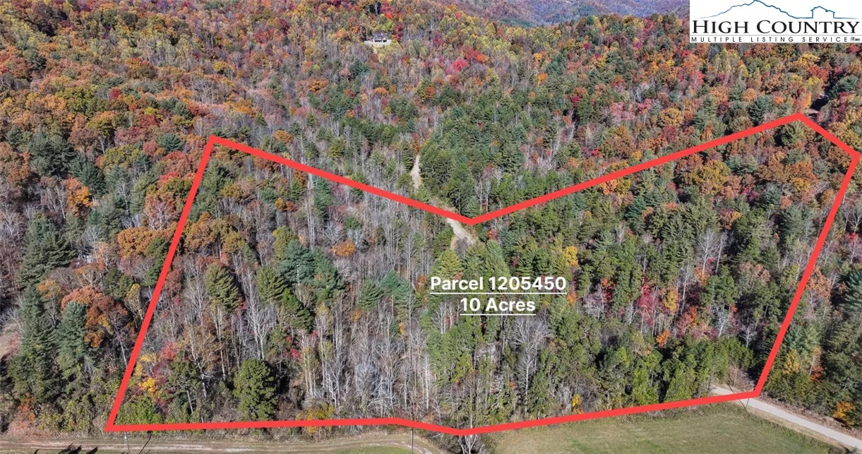 Image number 1 for the current listing