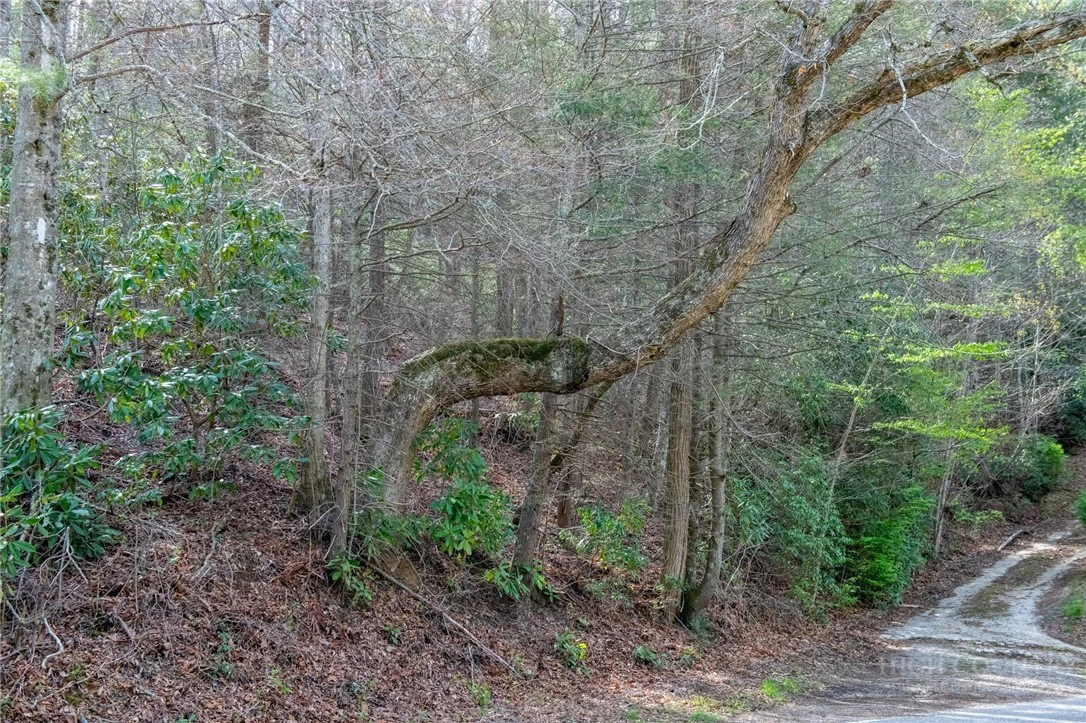 Image number 18 for the current listing