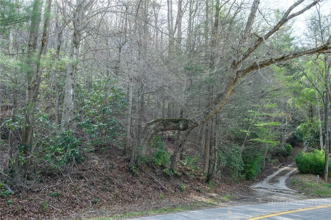 Image number 12 for the current listing