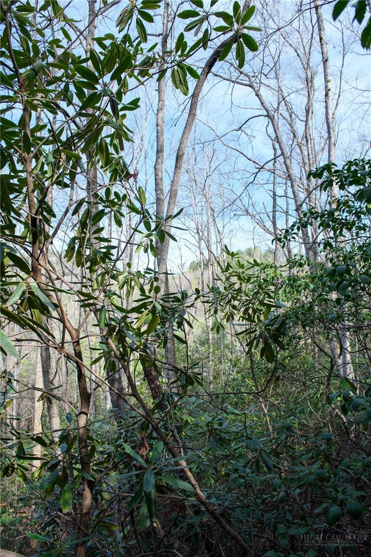 Image number 10 for the current listing