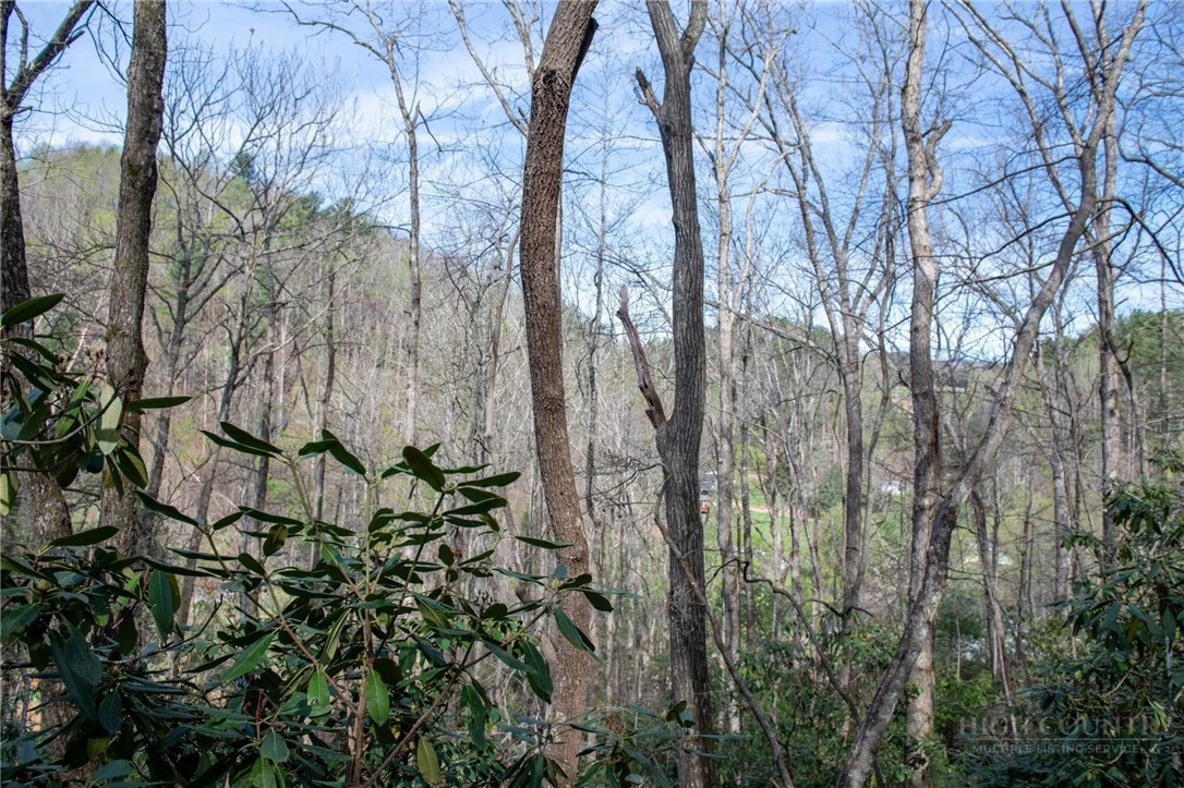Image number 8 for the current listing