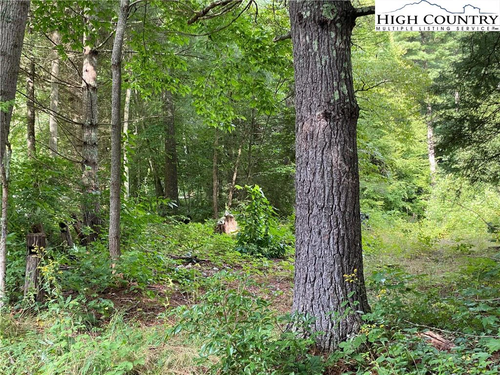Image number 3 for the current listing