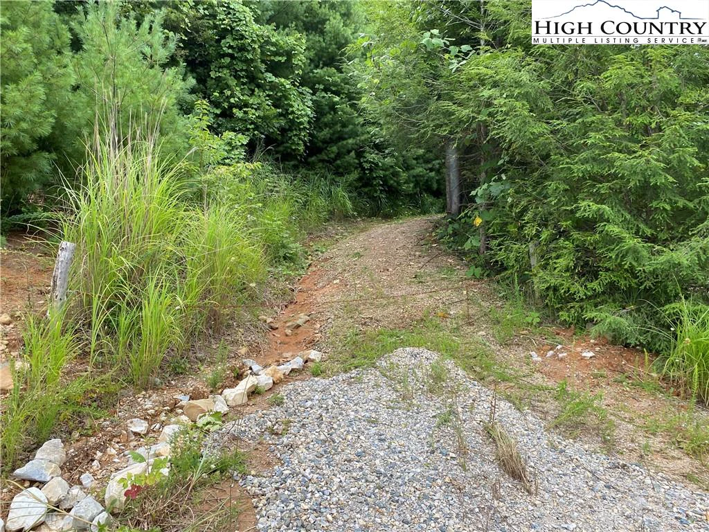 Image number 4 for the current listing