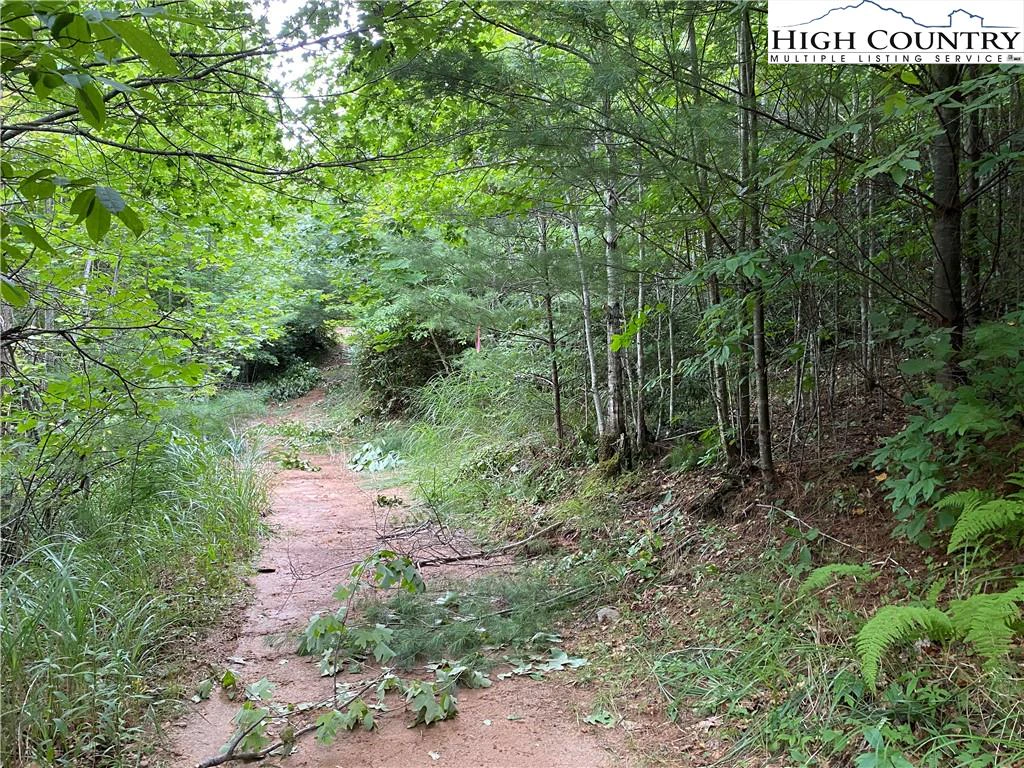 Image number 5 for the current listing