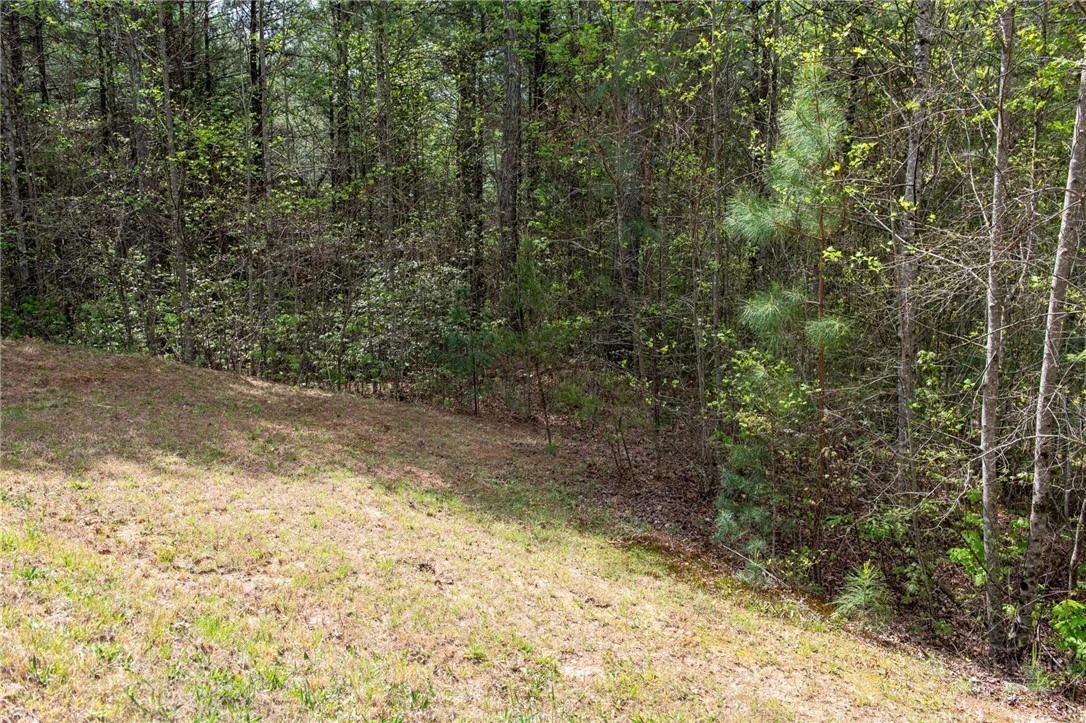 Image number 21 for the current listing