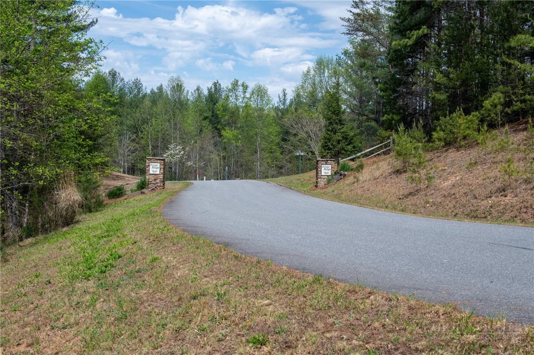 Image number 2 for the current listing