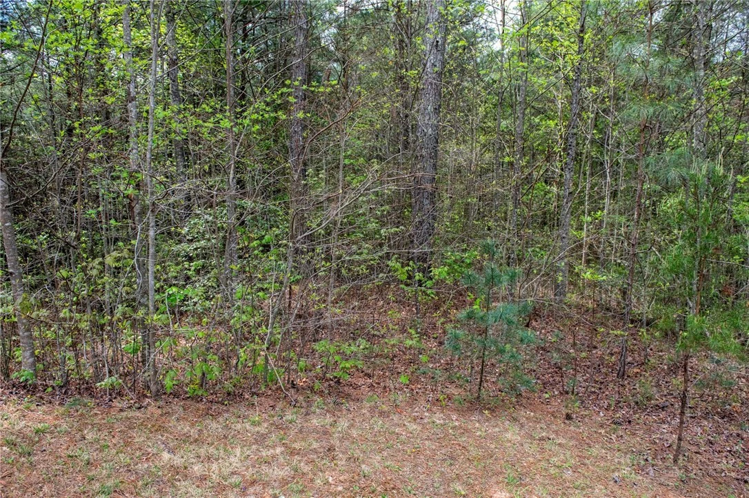 Image number 17 for the current listing